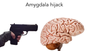 Amygdala-hijack
